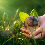 Hand holding a crystal earth globe symbolizing sustainability concept.